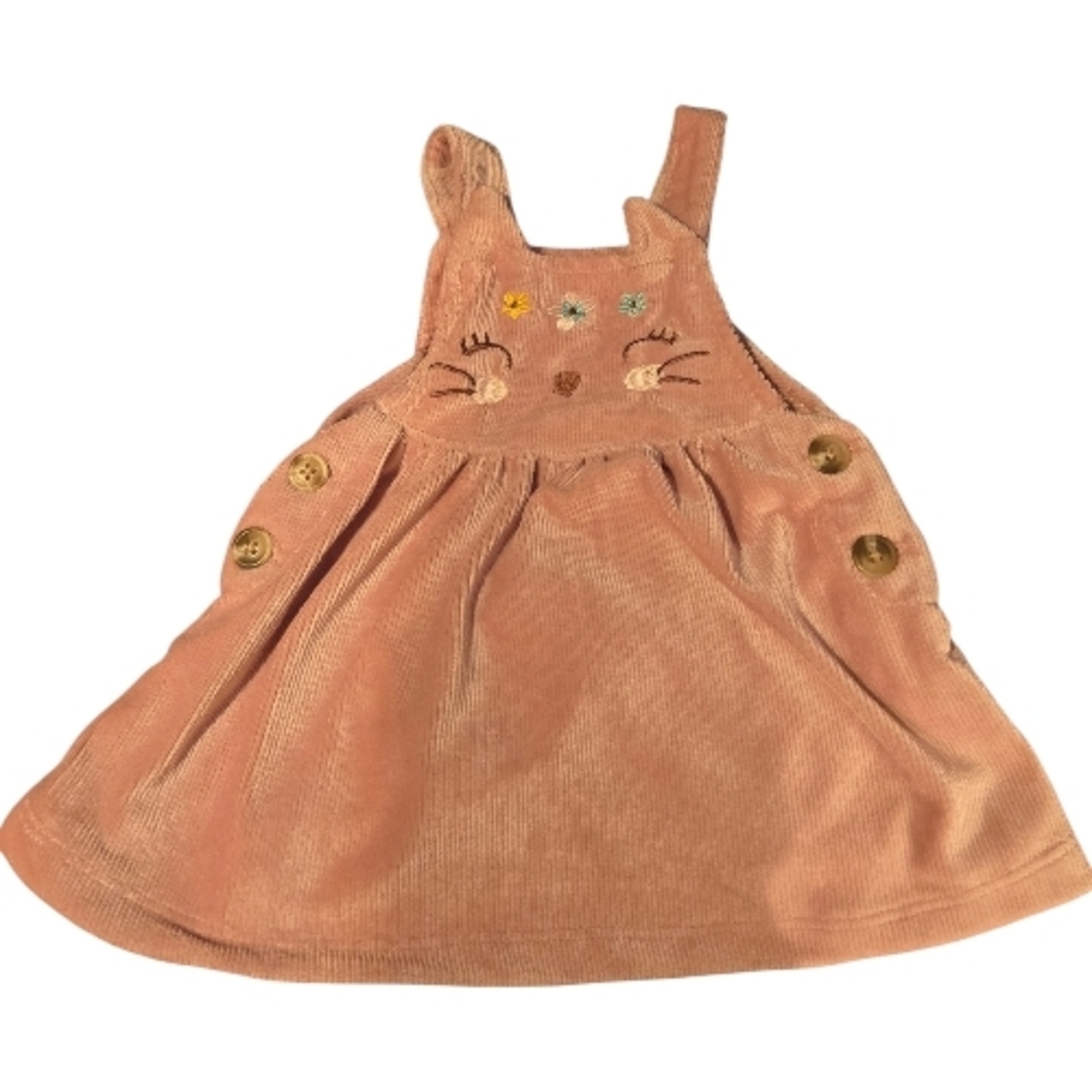 Adorable Bunny Rose Corduroy Dress  3-6 Mos EUC